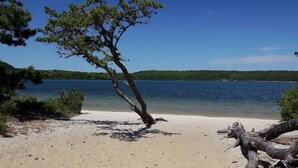 A beach with a fallen tree, clear blue water, and a forested shoreline.