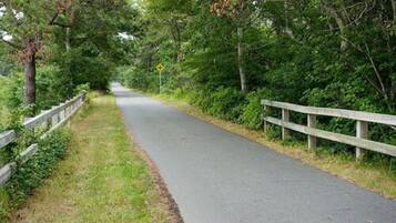 A paved path flanked by wooden fences and dense greenery.