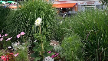 A hotel with a garden in front, featuring a variety of plants and flowers.