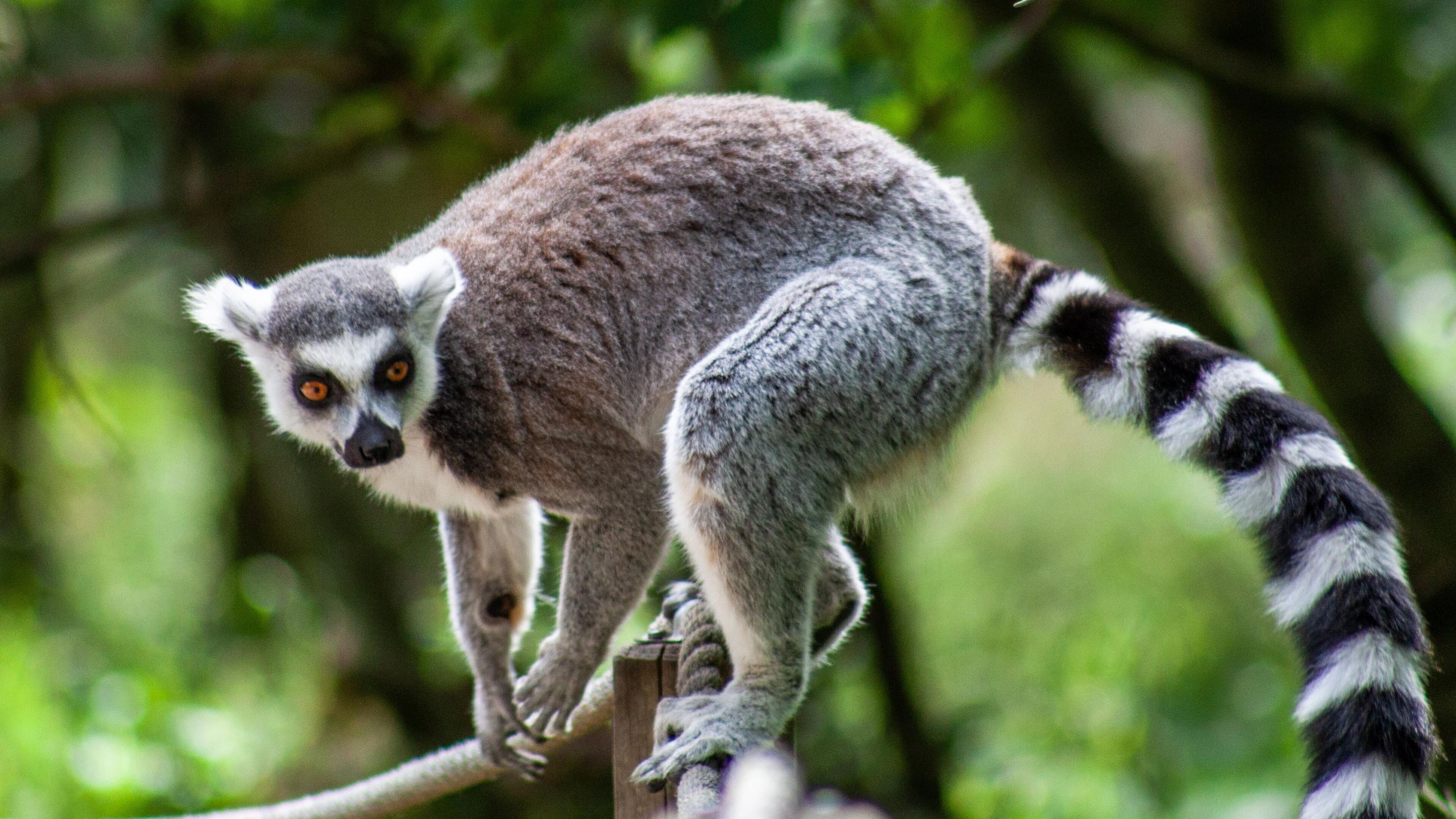 Photo - Holiday Inn Reading West by IHG