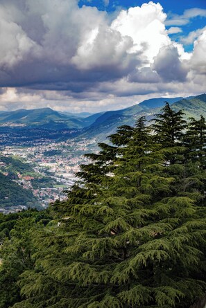 A mountainous landscape with dense green forests and a town in the valley below.