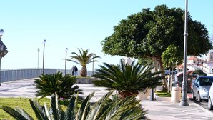A paved walkway with palm trees and street lamps. - Beach Hotel (Diamante)