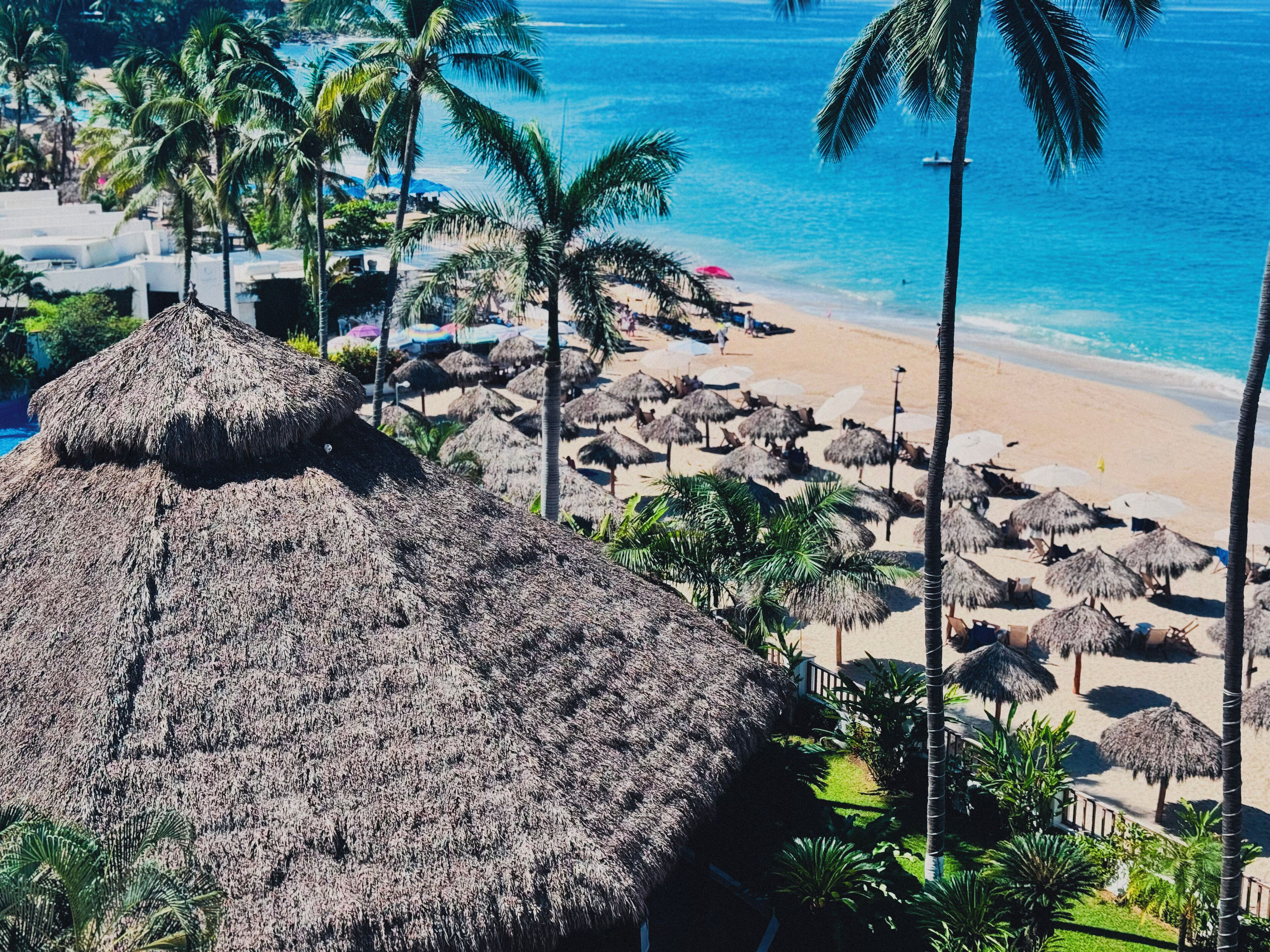 Ein Strand mit Reetdachschirmen und Palmen.