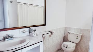 Un baño con lavamanos, espejo, inodoro y toallero.