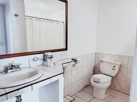 A bathroom with a sink, mirror, toilet, and towel rack.