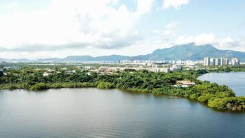A panoramic view of a cityscape with a river, dense greenery, and mountains in the background.