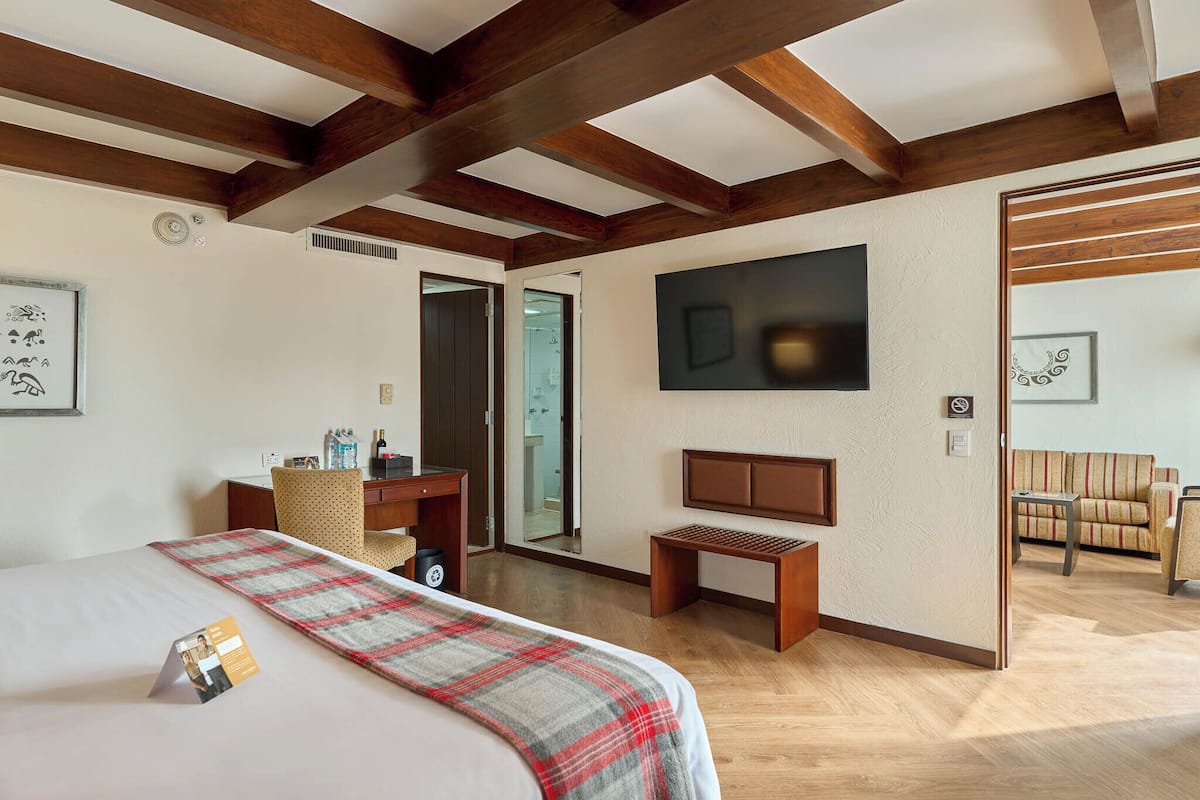 Une chambre d’hôtel avec un lit, un bureau, une banquette, une télévision et un canapé.