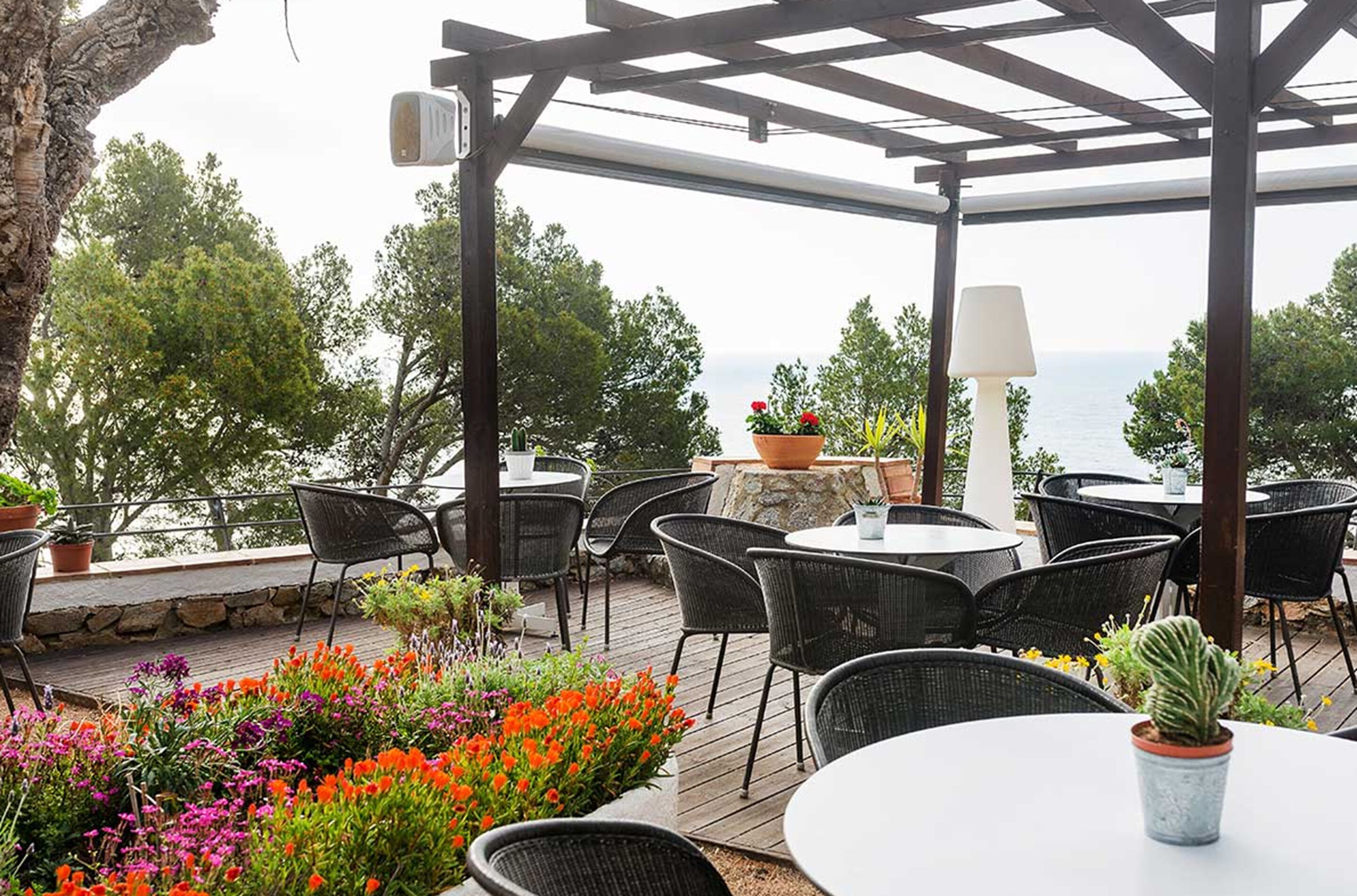 An outdoor patio with wicker chairs and tables, potted plants, and a view of the sea.