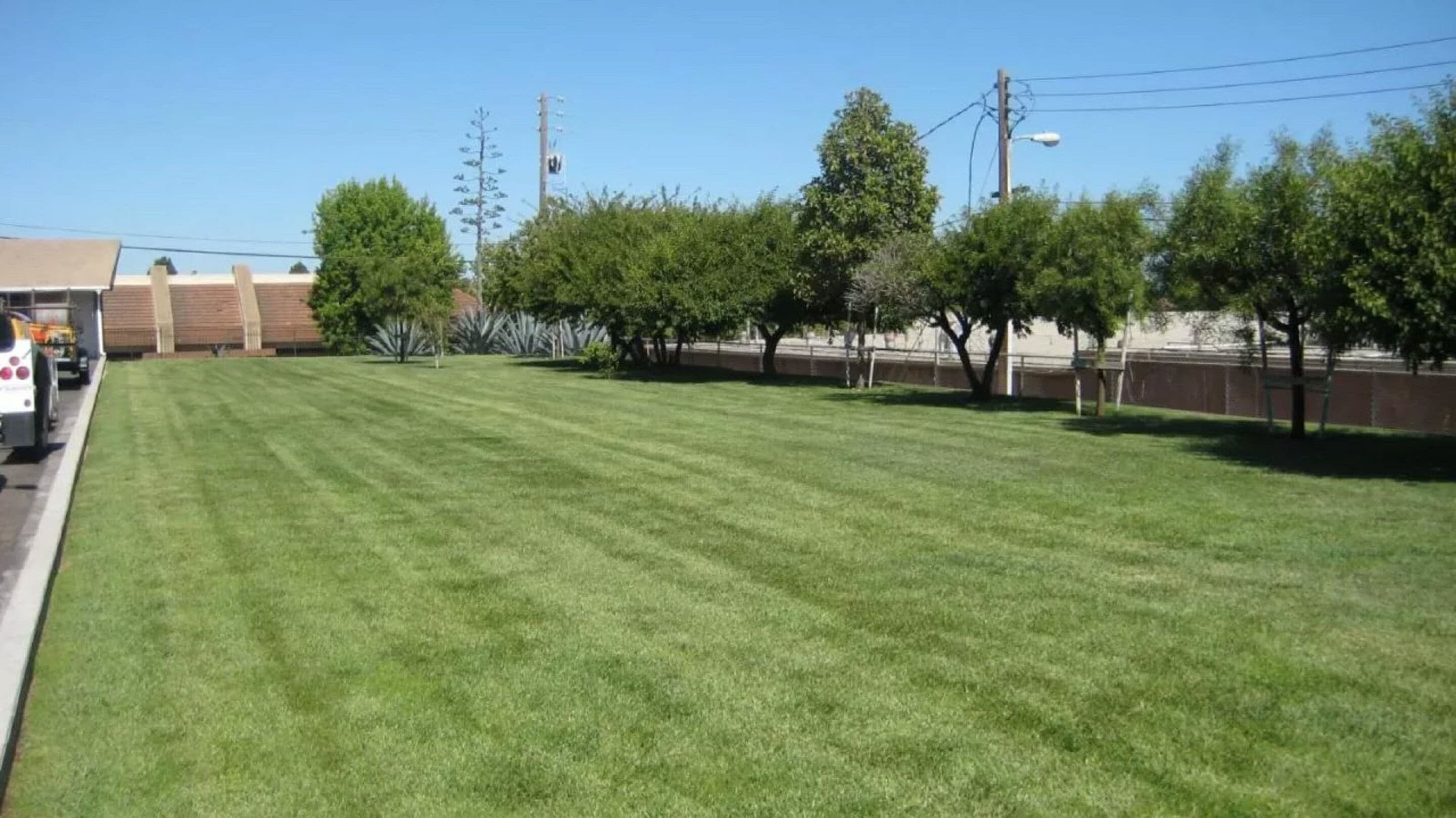 A well-maintained grassy area with trees and a building in the background.