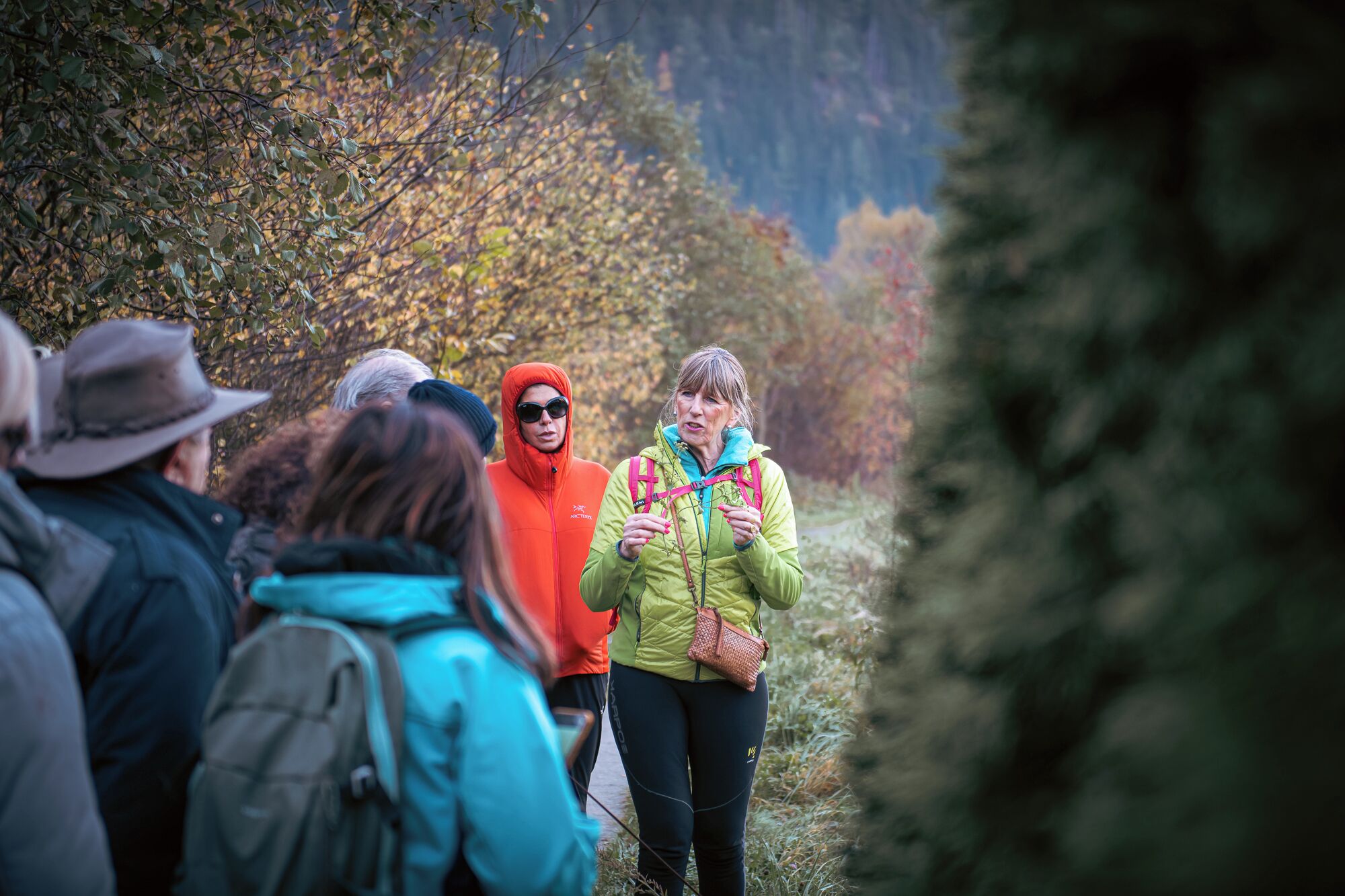Un grupo de personas caminando por un bosque.