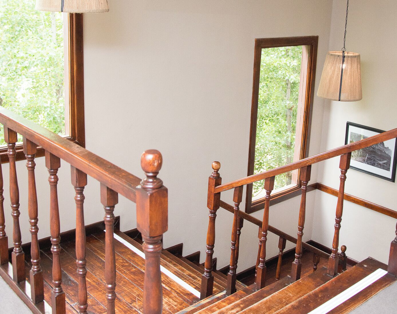 Photo - Sent Calafate