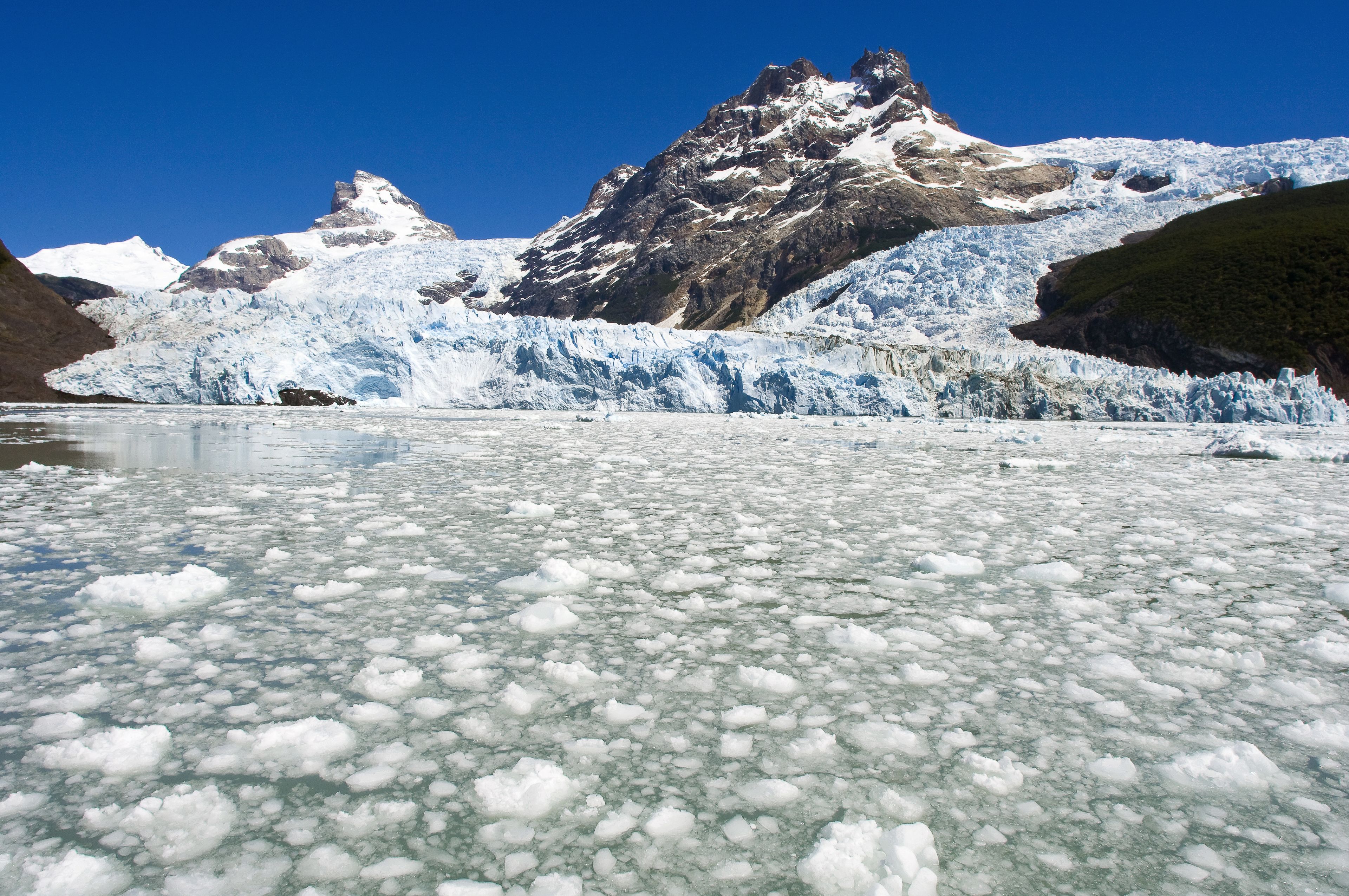 Photo - Sent Calafate