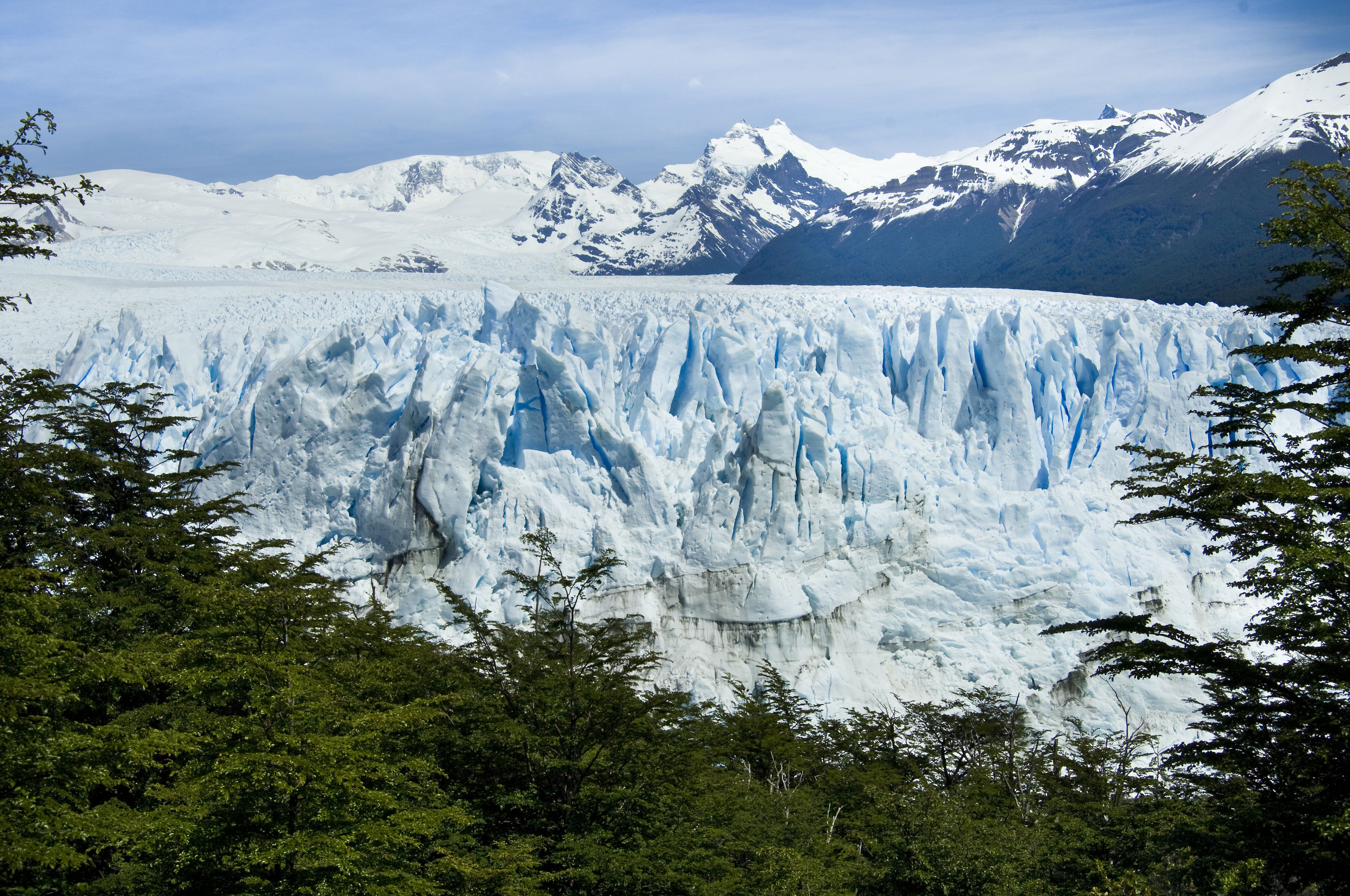 Photo - Sent Calafate