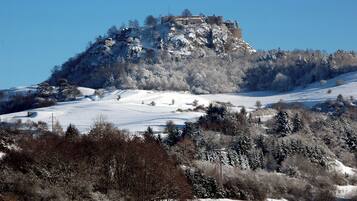 Eine Burg auf einem mit Schnee bedeckten Hügel, umgeben von Bäumen, unter blauem Himmel.