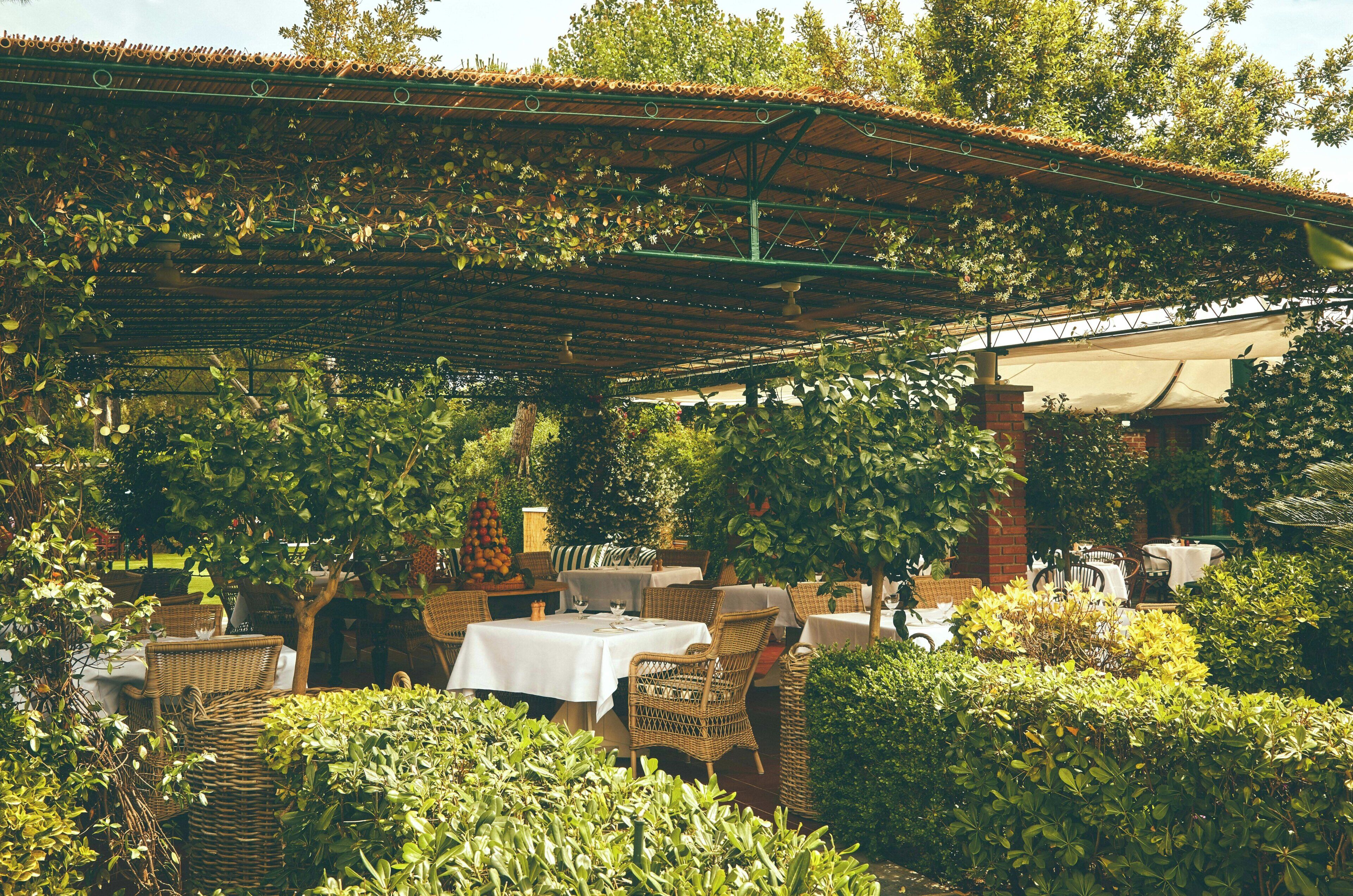 Un espace extérieur aménagé en terrasse, avec des meubles en osier, des tables et une pergola recouverte de feuillage.