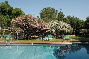 Seasonal outdoor pool, pool umbrellas, pool loungers - Hermitage Hotel & Resort Forte dei Marmi – Starhotels Collezione (Forte dei Marmi)