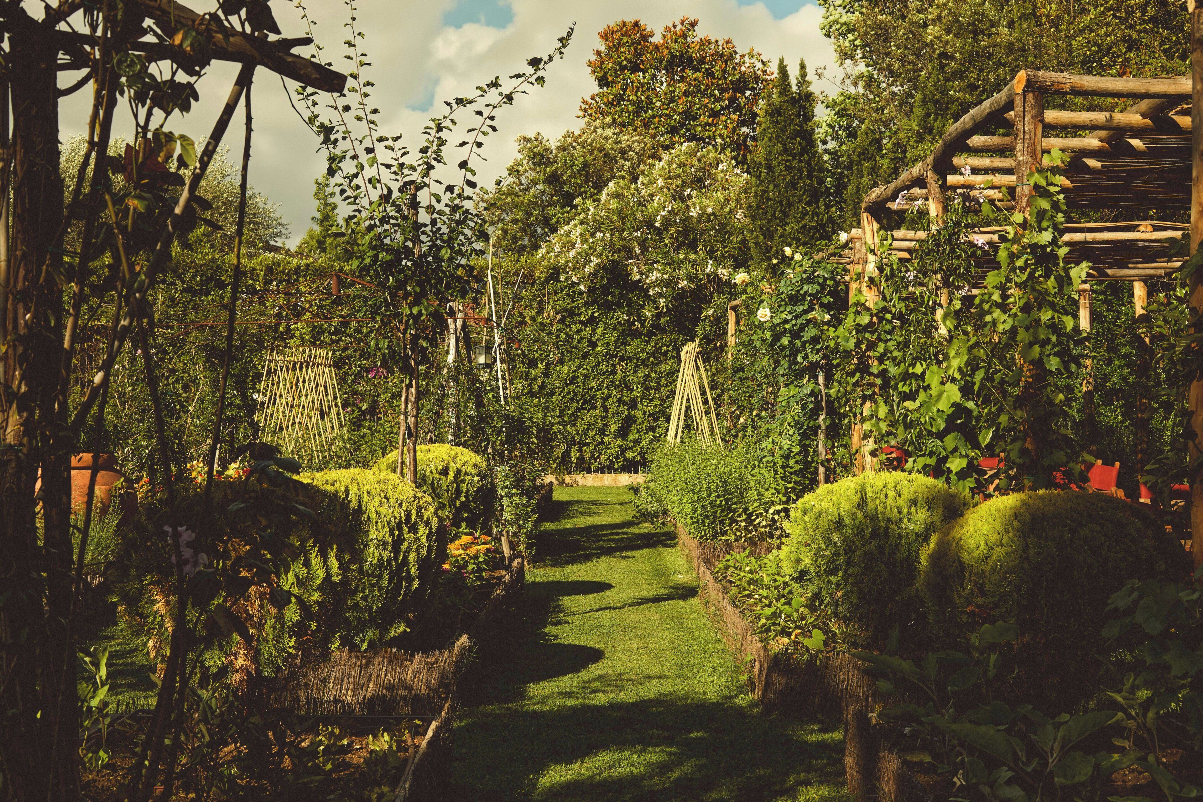 Un sentier de jardin bordé d’une végétation luxuriante et de différentes espèces de plantes.