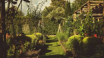 Un sentier de jardin bordé d’une végétation luxuriante et de différentes espèces de plantes.