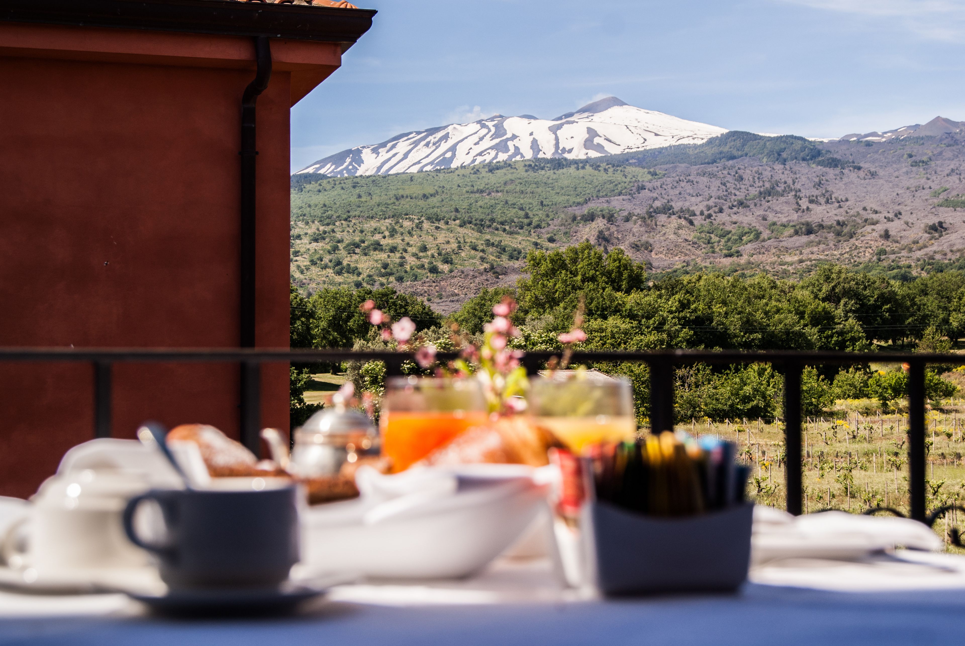 A breakfast setup with a mountain view.