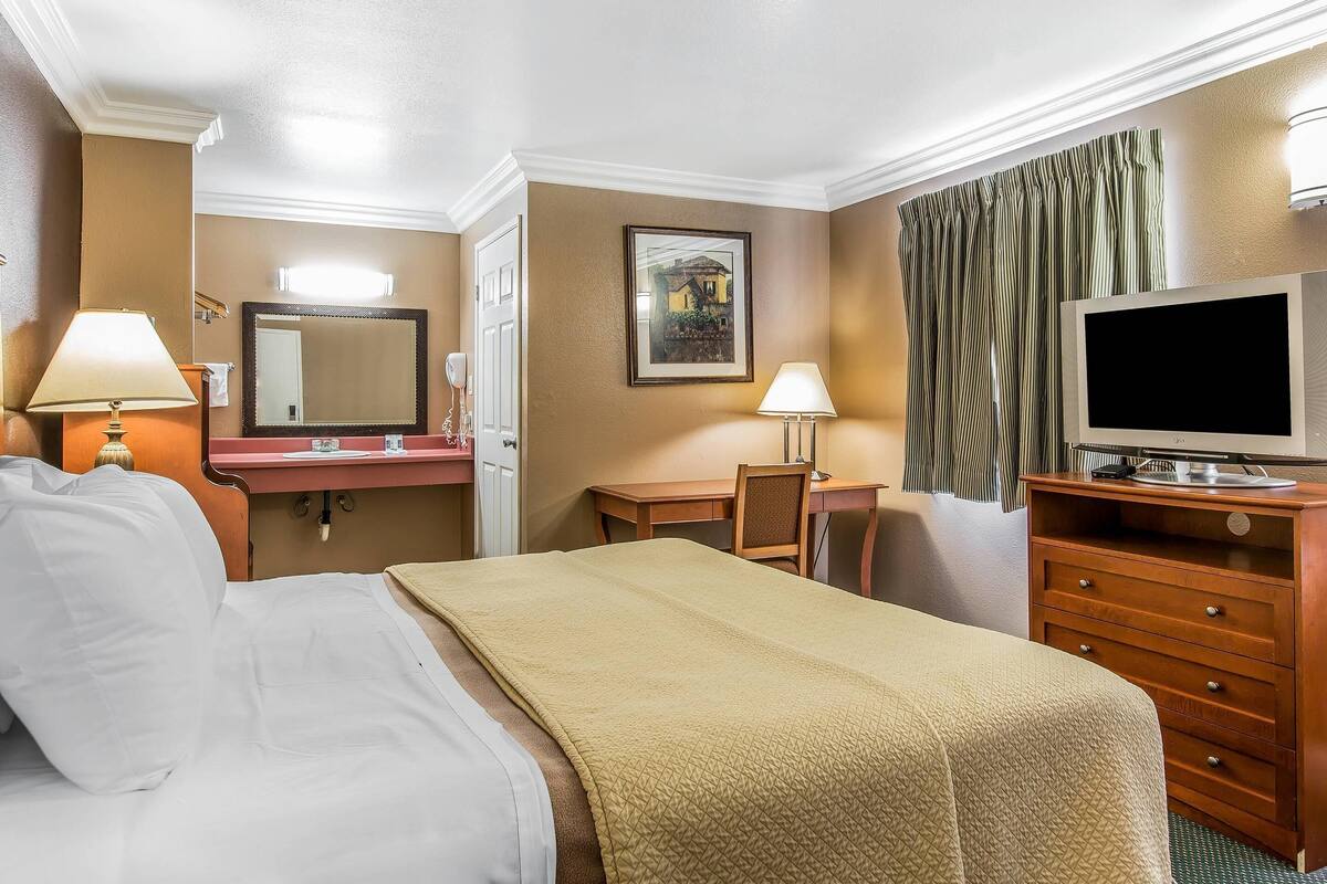 Une chambre d’hôtel avec un lit, un bureau, une chaise, une télévision et un tableau au mur.