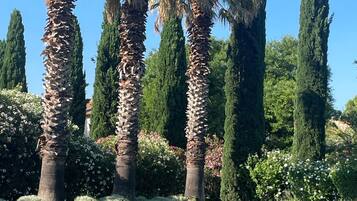 Installations sportives