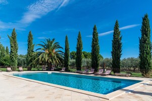 Una piscina rectangular con sillones de descanso y altos árboles a su alrededor.