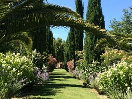 Un jardín con un sendero central bordeado por árboles altos y arbustos florecientes.