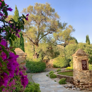 Garden - La Dimora (Oletta)