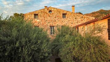 A stone building with a central window and a chimney, surrounded by dense vegetation.