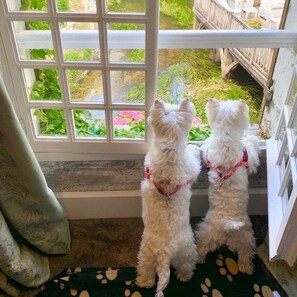 Pet-friendly - Le Moulin Du Roc (Champagnac-de-Belair)