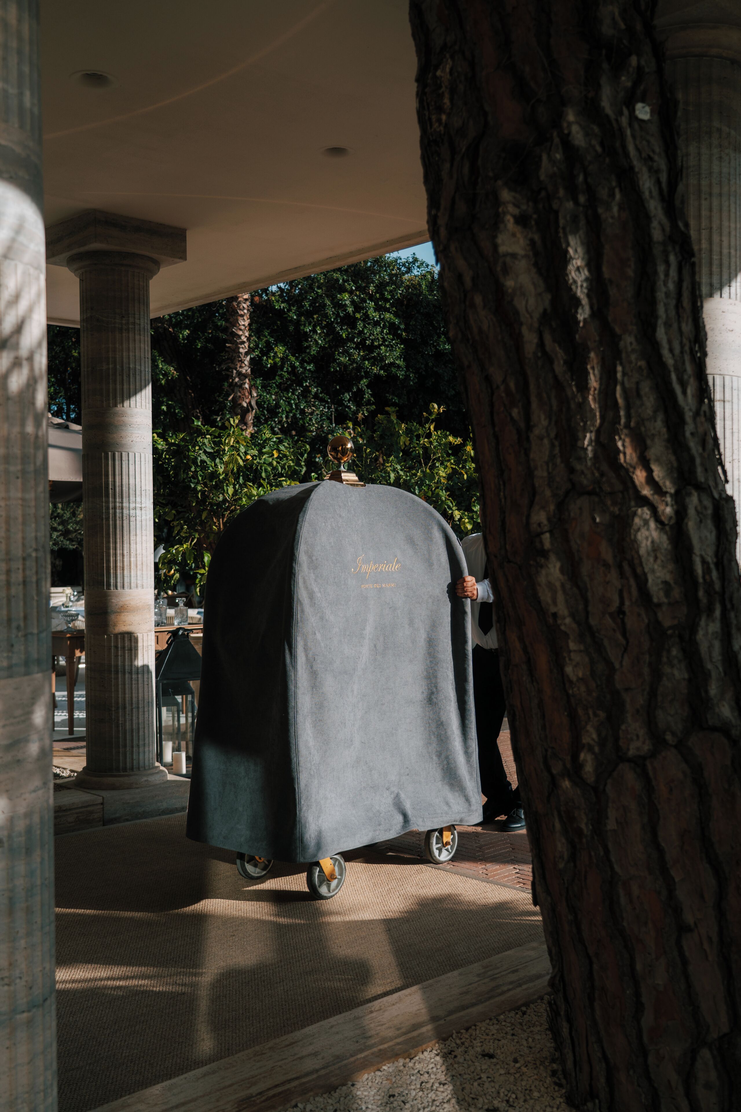 A covered cart with a person standing behind it, a tree trunk in the foreground, and classical columns in the background.