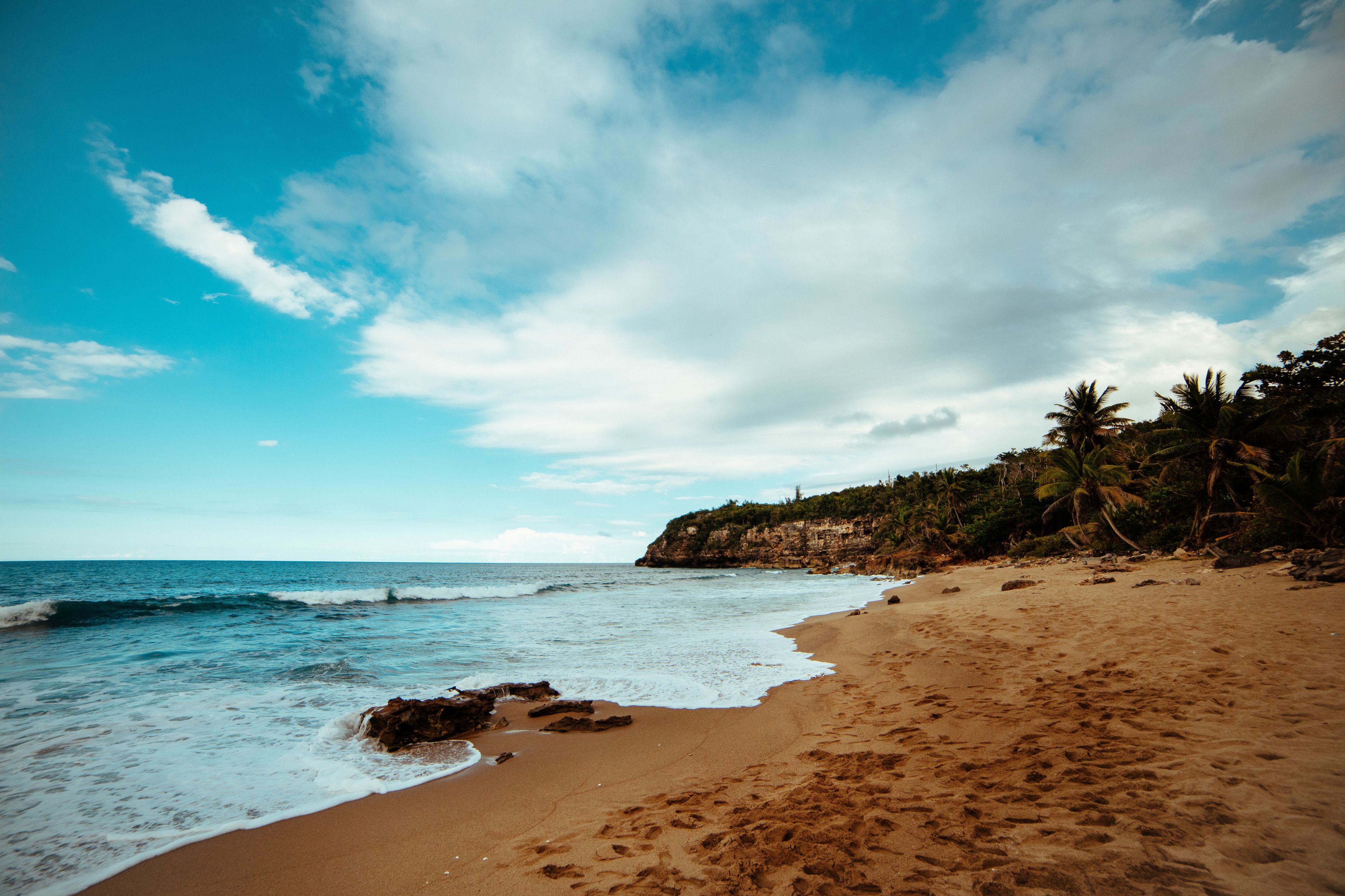 A beach with clear skies, waves, and palm trees.