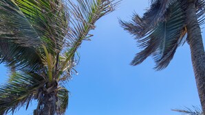 A wooden staircase leading to a sandy beach with palm trees and a clear blue ocean. - Hotel El Guajataca (Quebradillas)