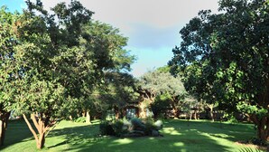 Garden - Cresta Golfview (Lusaka)