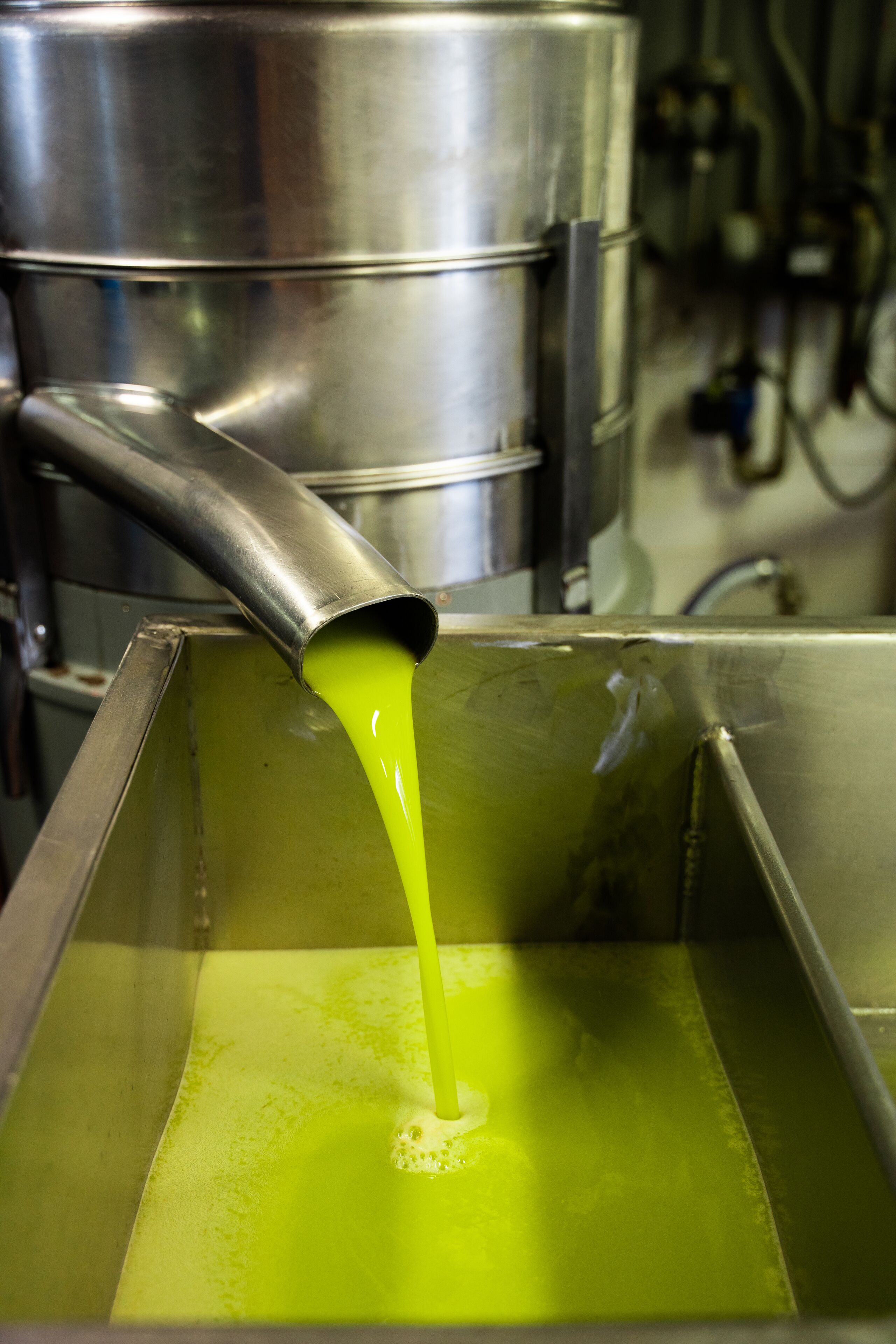 A stainless steel container with a green liquid being poured into it.