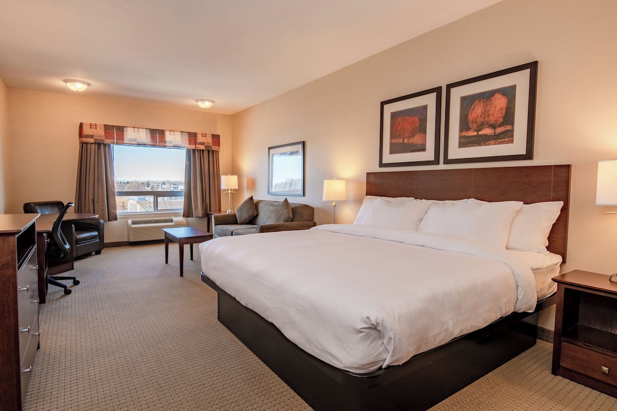Standard Single Room | 1 bedroom, premium bedding, desk, laptop workspace