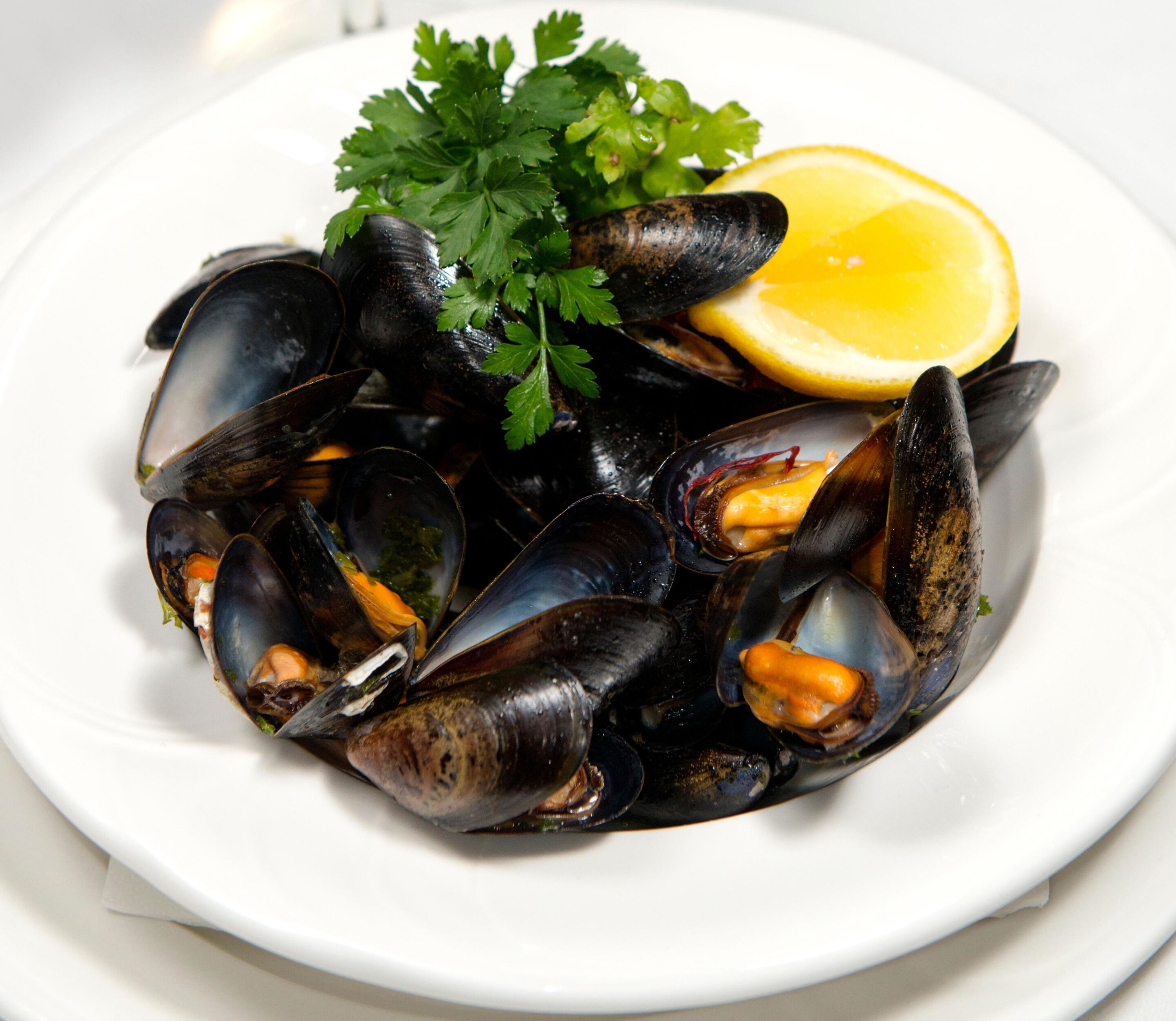 A plate of mussels with parsley and lemon on a white plate.