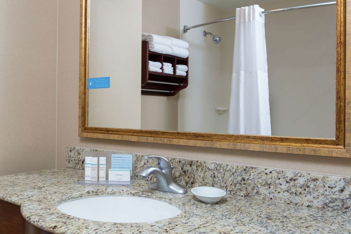 Bathroom | Combined shower/tub, free toiletries, hair dryer, towels