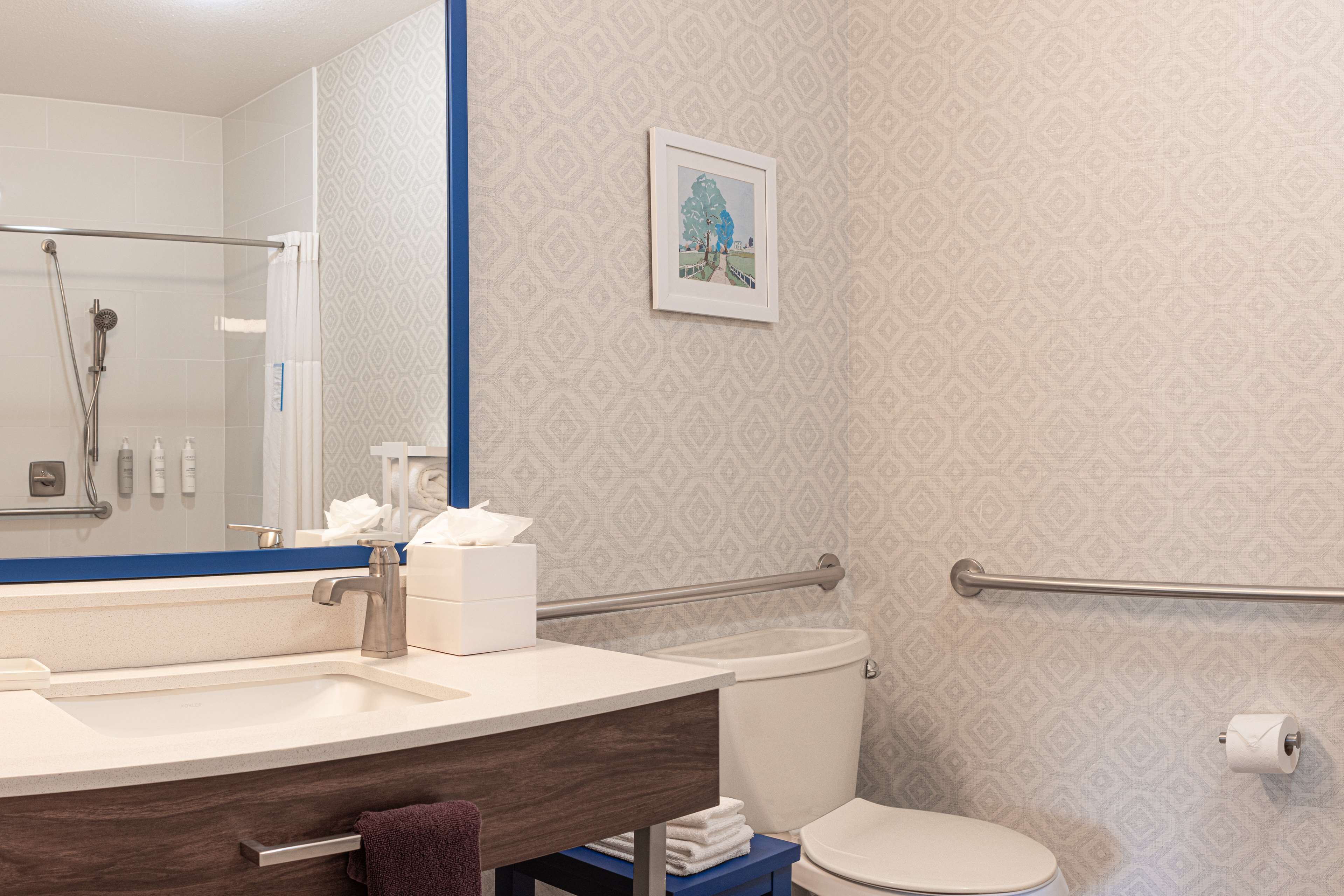 suite, 1 king bed, accessible, non smoking (roll-in shower) | bathroom | free toiletries, hair dryer, towels