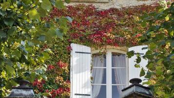 A window with white shutters partially covered by red and green foliage.