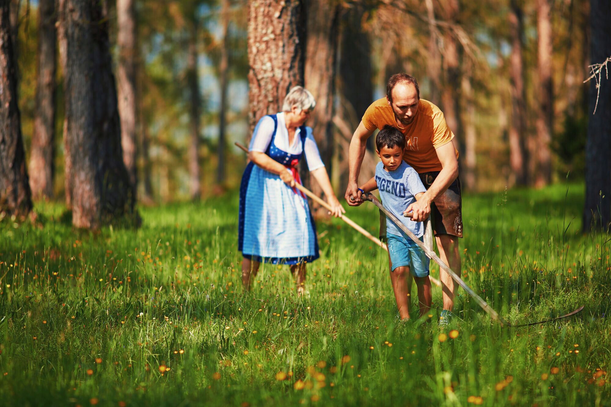 A family in a grassy outdoor area with trees.
