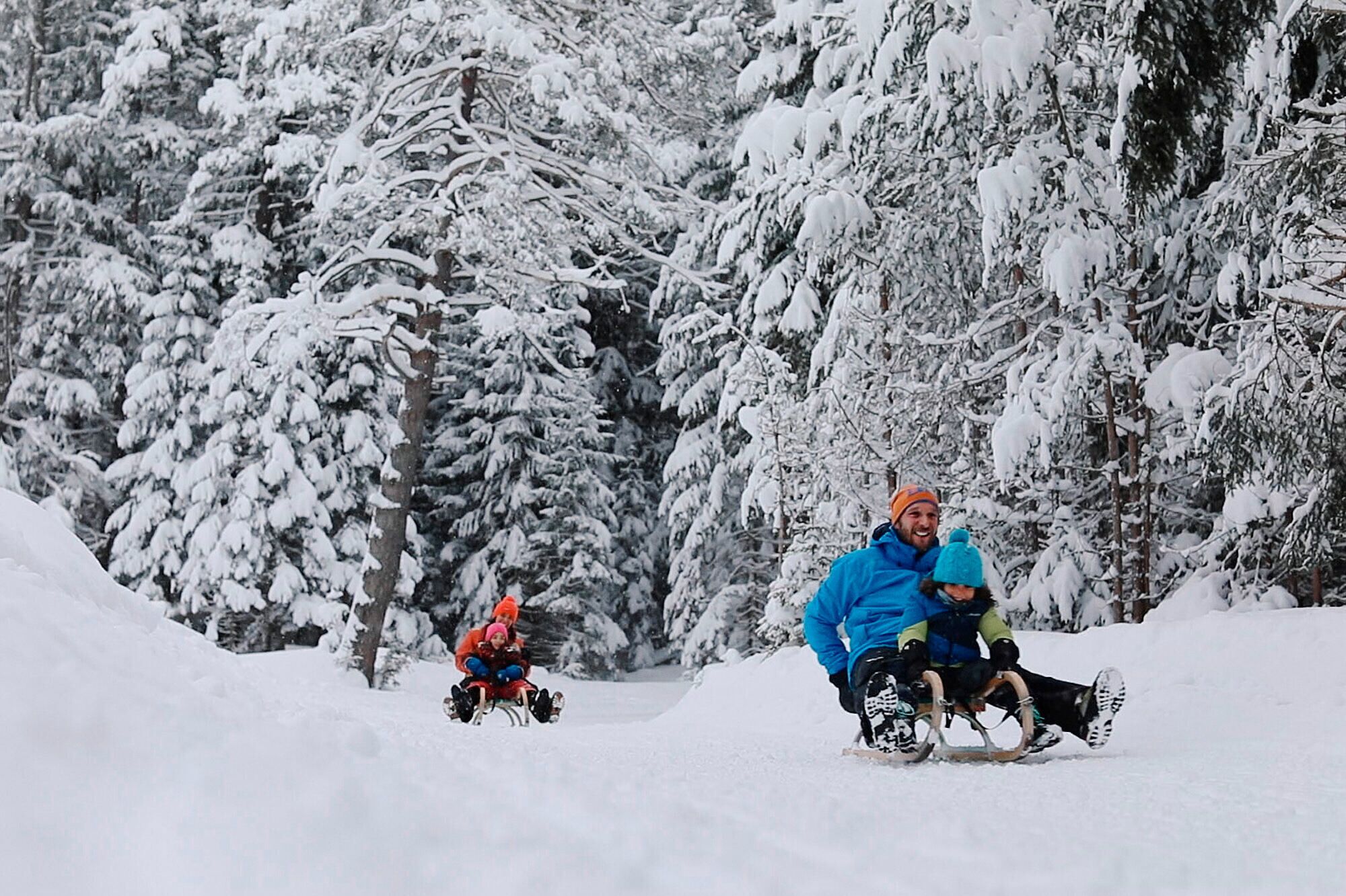 Dos personas deslizándose en trineos por una pendiente nevada, con árboles al fondo.