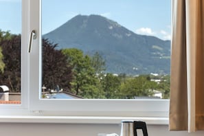 Classic Room | View from room
