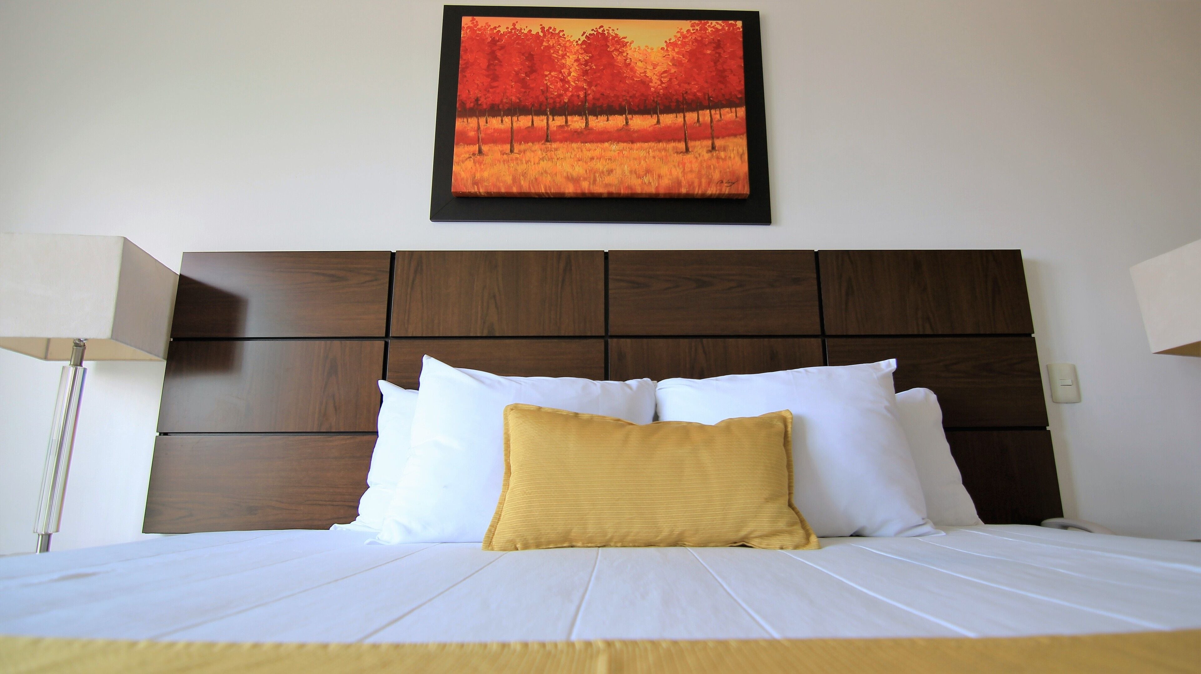 standard room, 1 king bed | premium bedding, down duvets, pillow-top beds, in-room safe