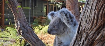 Kangaroo Island Wilderness Retreat
