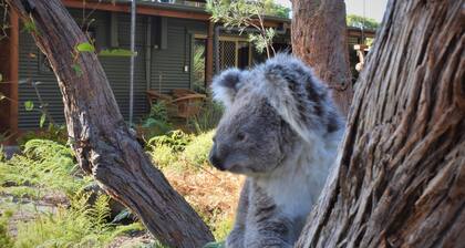 Kangaroo Island Wilderness Retreat