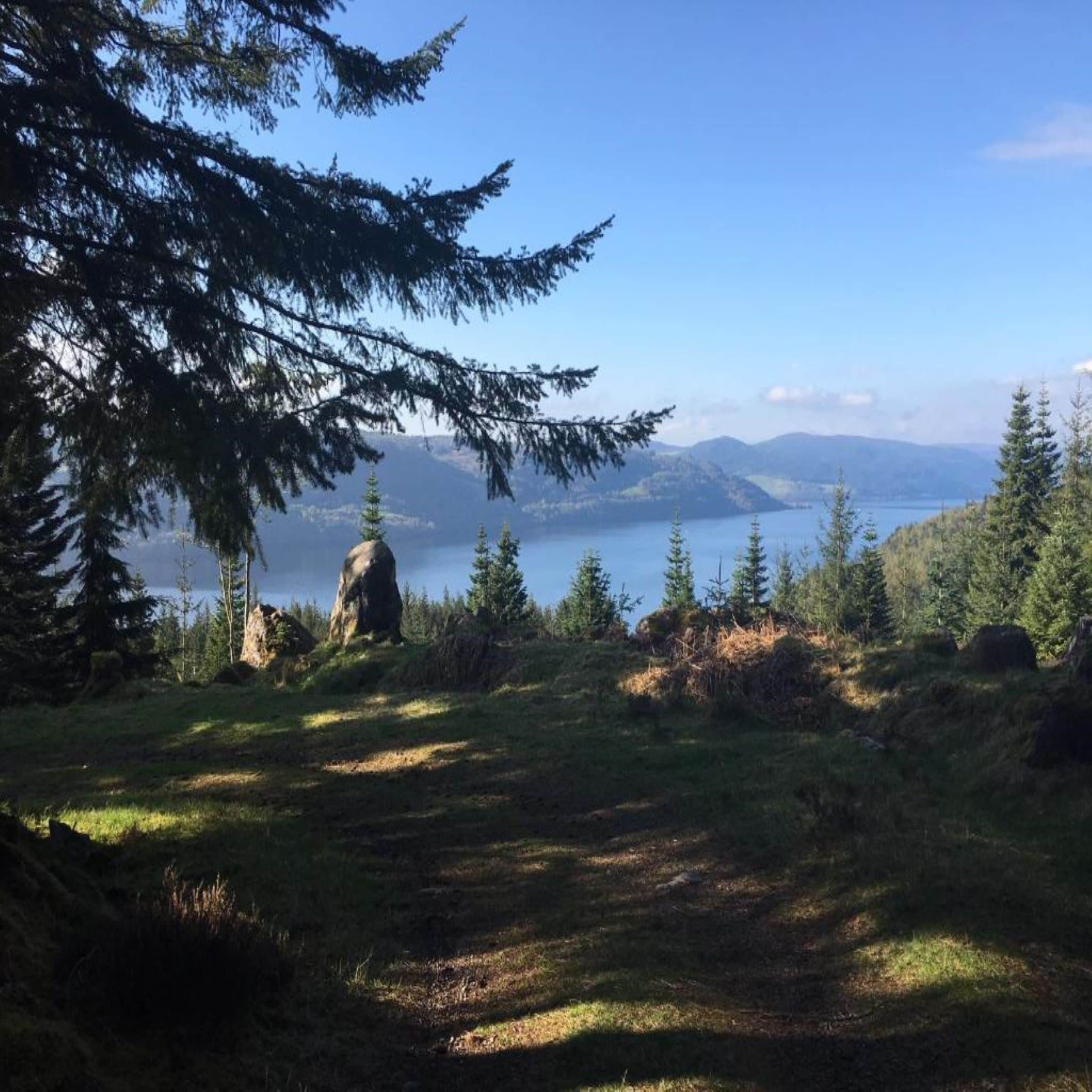 A natural landscape with a large rock formation, dense coniferous trees, and a body of water in the distance.