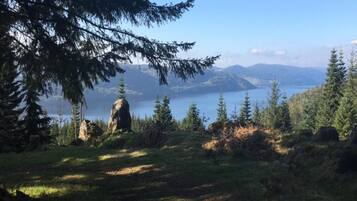 A natural landscape with a large rock formation, dense coniferous trees, and a body of water in the distance.