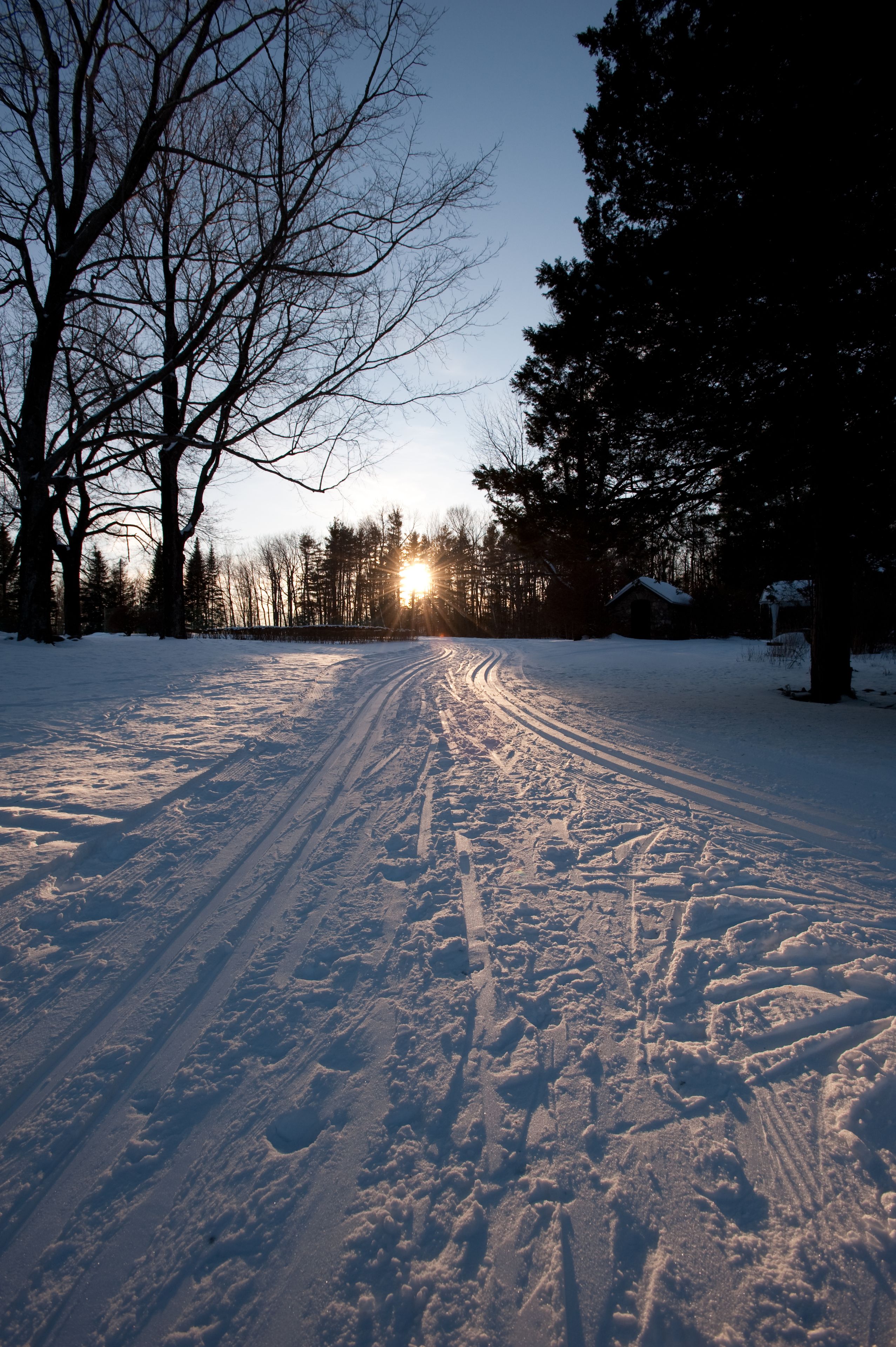 A snow-covered road with tire tracks leading towards a house in a forested area.