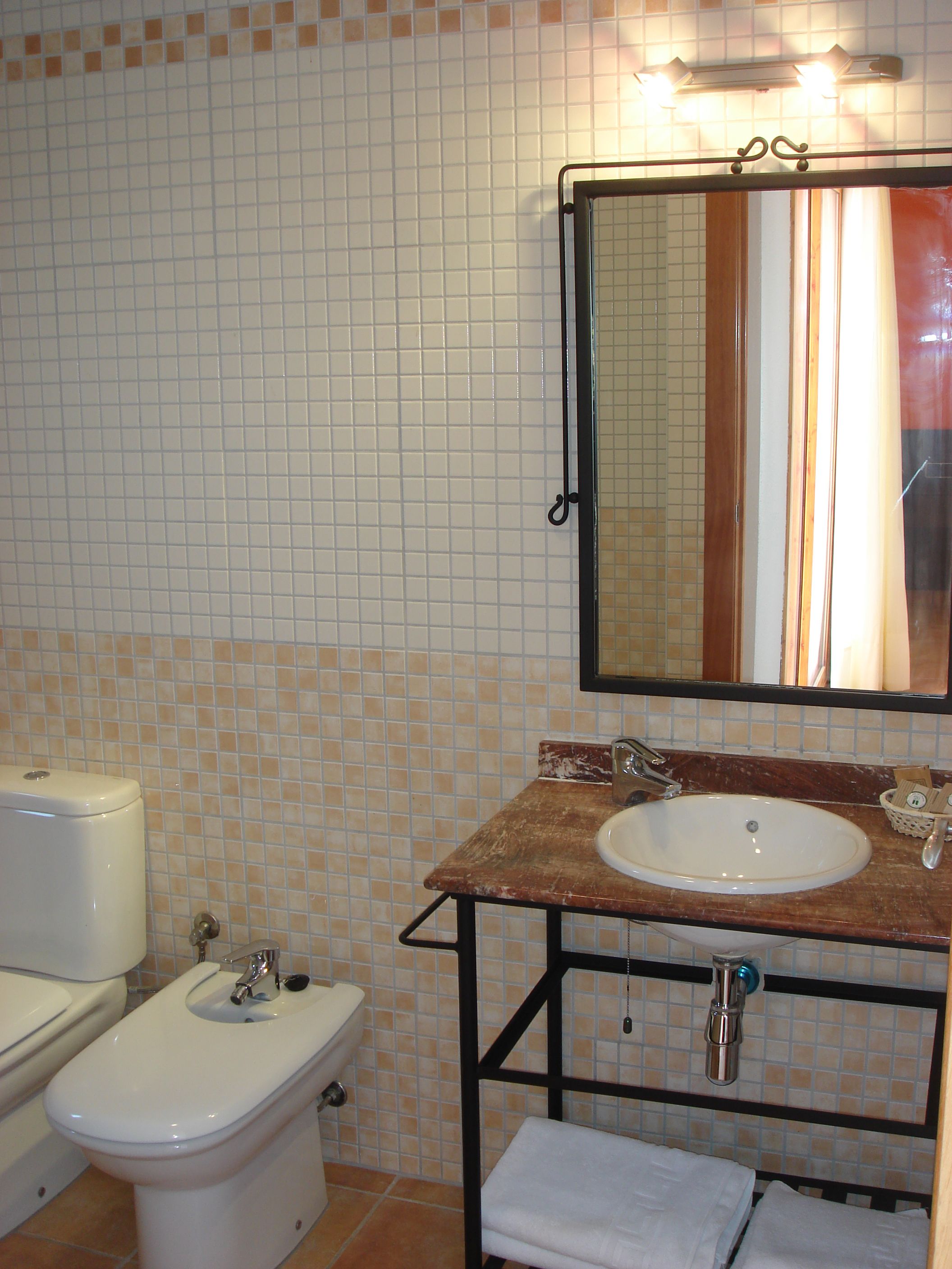 hair dryer, bidet, towels